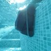 Dolphin LIBERTY 200 - Wireless swimming pool robot