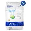 AFM NG Filter glass grade 2 | 0.7 - 2.0 mm - 21 kg