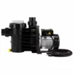Speck Badu Magic II/11 pool pump for 11m³ of pool water.