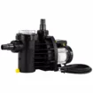 Speck Badu Magic II/11 pool pump 11m³ for efficient pool water circulation.