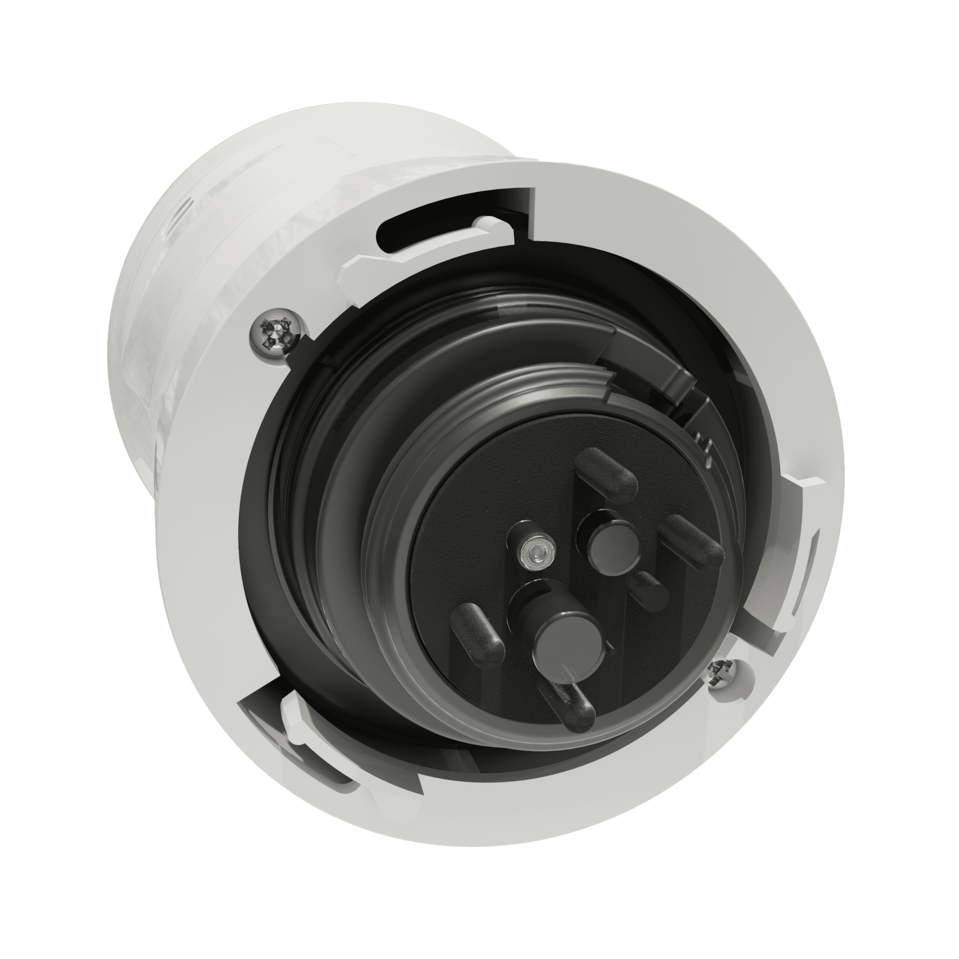 Pool pump for filtering and circulation.