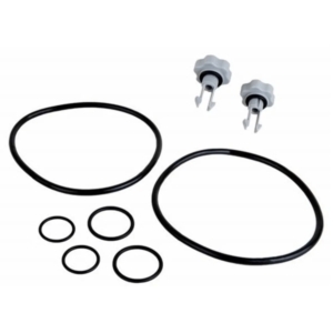 Pool filter repair kit with O-rings and valves for maintenance.