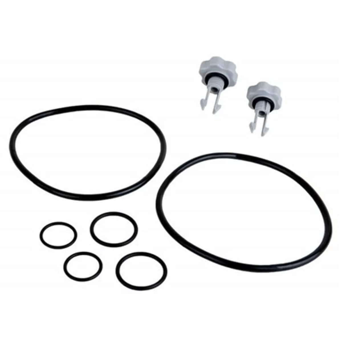 Pool filter repair kit with O-rings and valves for maintenance.