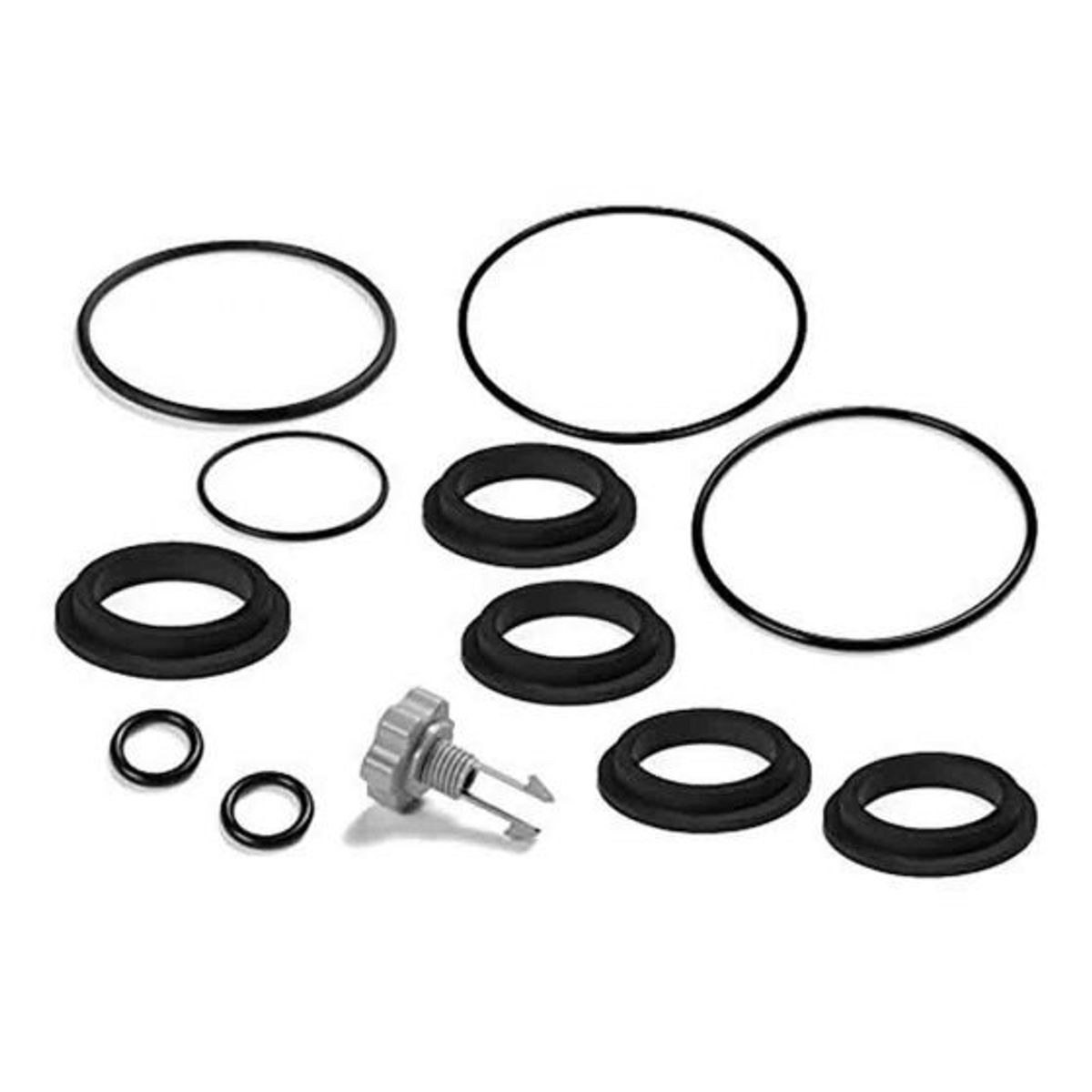 Gasket and air valve set for Intex sand filter pump